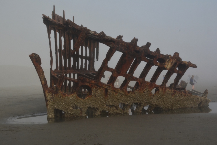 rusted ship frame beached 